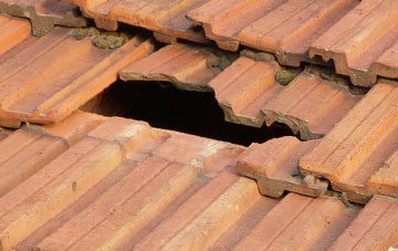 roof repair Nye, Somerset