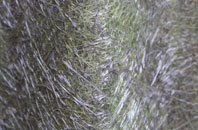 Nye fibreglass roof work